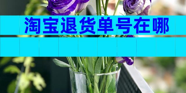 淘宝退货单号在哪