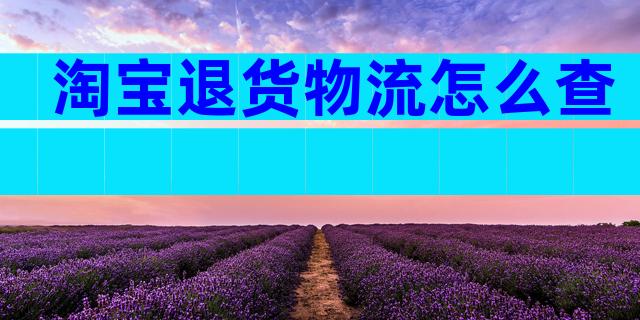 淘宝退货物流怎么查