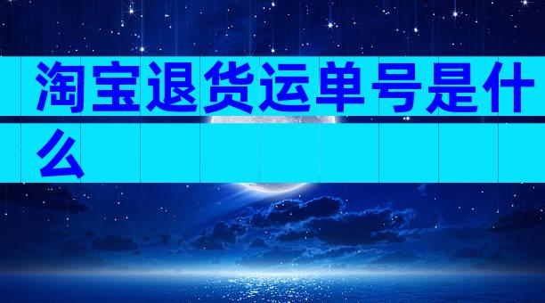 淘宝退货运单号是什么