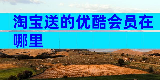 淘宝送的优酷会员在哪里