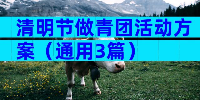 清明节做青团活动方案（通用3篇）