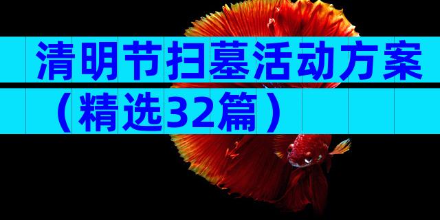 清明节扫墓活动方案（精选32篇）