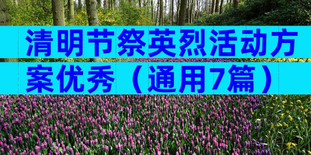 清明节祭英烈活动方案优秀（通用7篇）