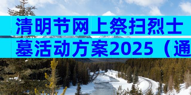 清明节网上祭扫烈士墓活动方案2025（通用31篇）