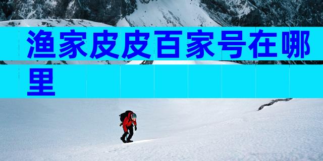 渔家皮皮百家号在哪里
