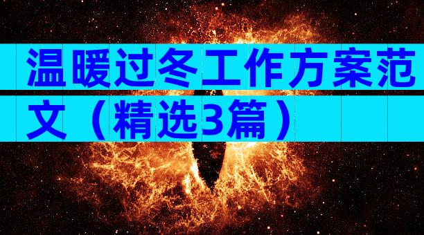 温暖过冬工作方案范文（精选3篇）