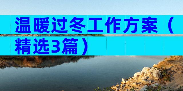 温暖过冬工作方案（精选3篇）
