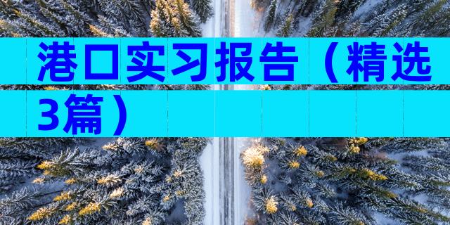 港口实习报告（精选3篇）