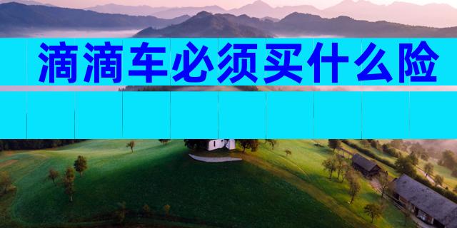 滴滴车必须买什么险