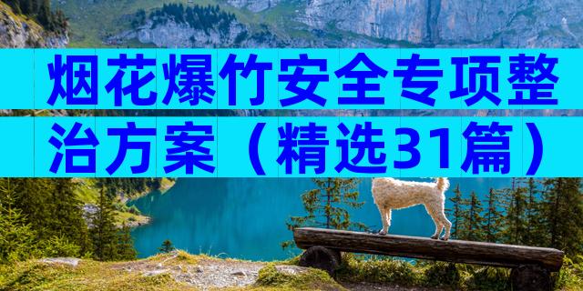 烟花爆竹安全专项整治方案（精选31篇）