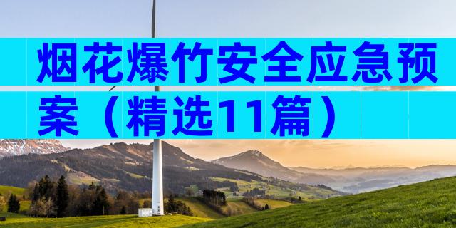 烟花爆竹安全应急预案（精选11篇）