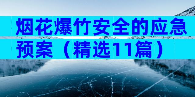 烟花爆竹安全的应急预案（精选11篇）