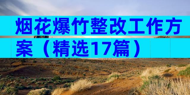 烟花爆竹整改工作方案（精选17篇）