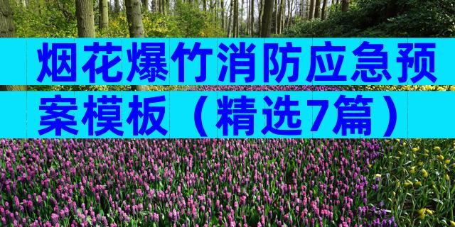 烟花爆竹消防应急预案模板（精选7篇）