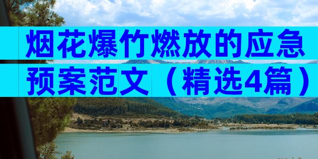 烟花爆竹燃放的应急预案范文（精选4篇）