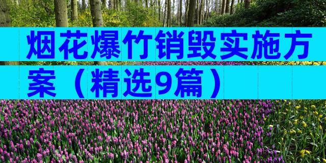烟花爆竹销毁实施方案（精选9篇）