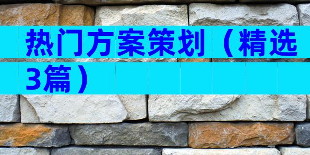热门方案策划（精选3篇）