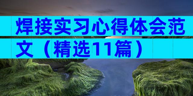 焊接实习心得体会范文（精选11篇）