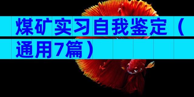 煤矿实习自我鉴定（通用7篇）