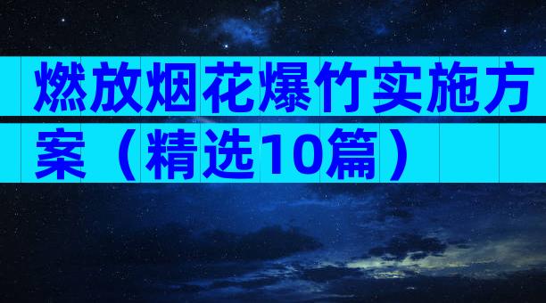 燃放烟花爆竹实施方案（精选10篇）