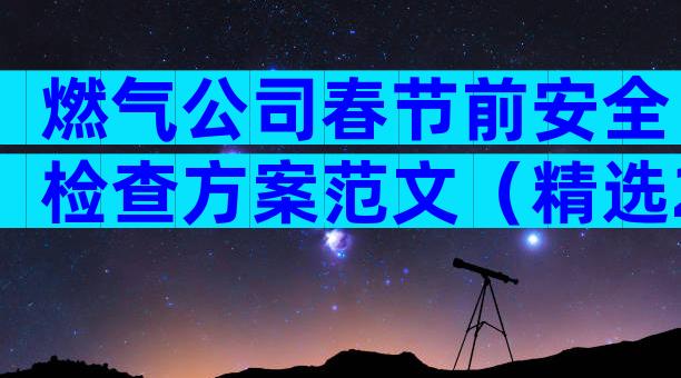 燃气公司春节前安全检查方案范文（精选28篇）