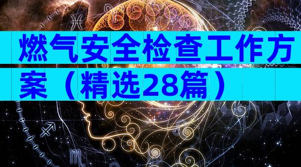 燃气安全检查工作方案（精选28篇）