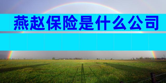 燕赵保险是什么公司
