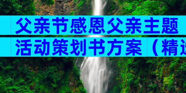 父亲节感恩父亲主题活动策划书方案（精选30篇）