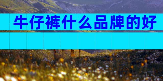 牛仔裤什么品牌的好