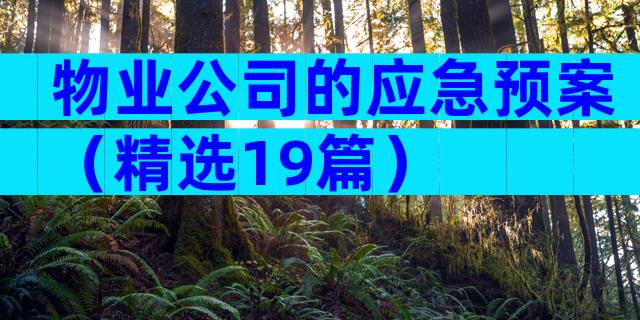 物业公司的应急预案（精选19篇）
