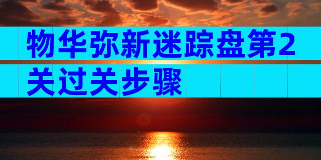 物华弥新迷踪盘第2关过关步骤