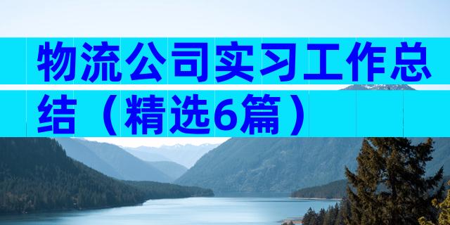 物流公司实习工作总结（精选6篇）
