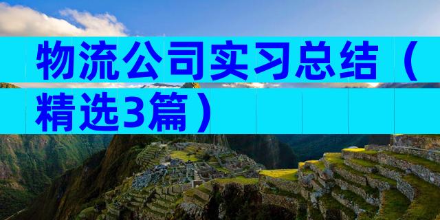 物流公司实习总结（精选3篇）