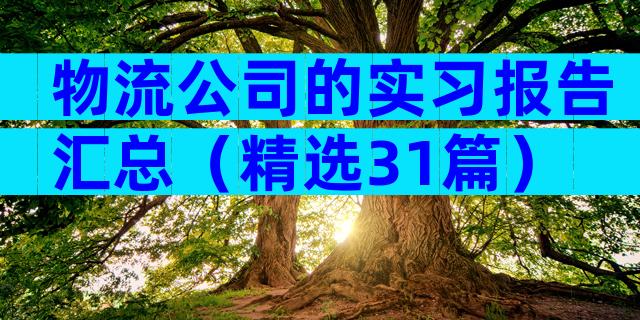 物流公司的实习报告汇总（精选31篇）