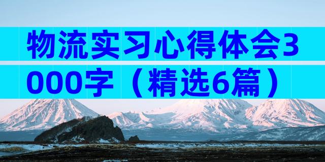 物流实习心得体会3000字（精选6篇）