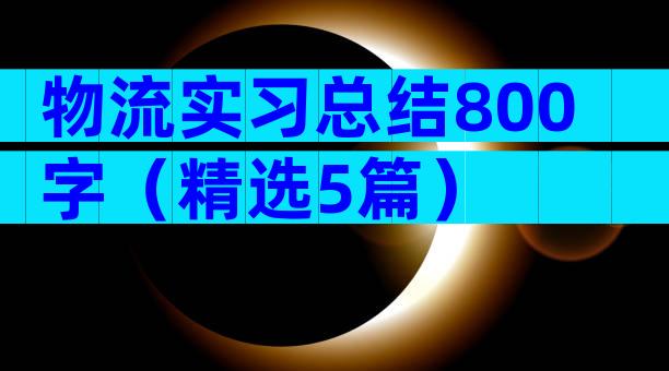 物流实习总结800字（精选5篇）