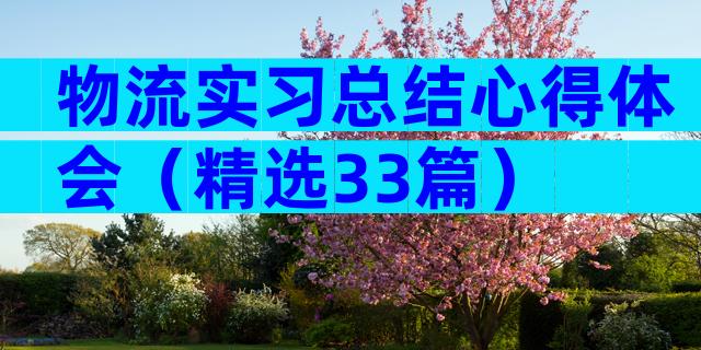 物流实习总结心得体会（精选33篇）