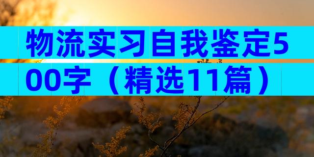 物流实习自我鉴定500字（精选11篇）