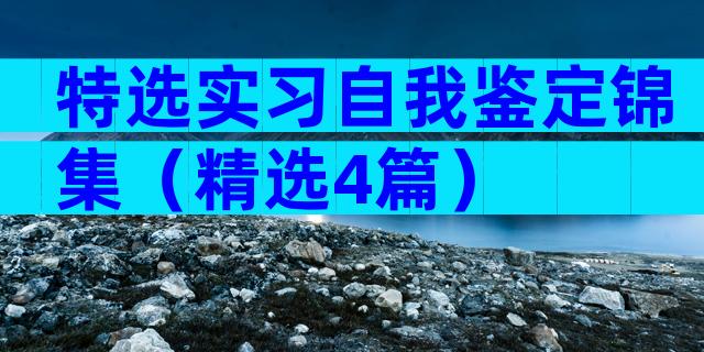 特选实习自我鉴定锦集（精选4篇）