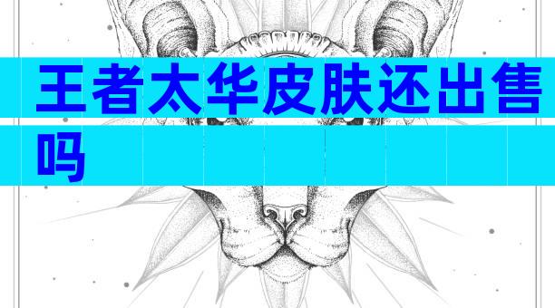 王者太华皮肤还出售吗