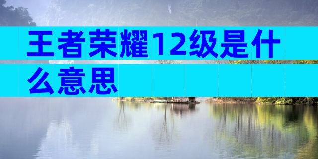 王者荣耀12级是什么意思
