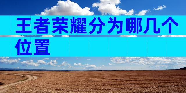 王者荣耀分为哪几个位置