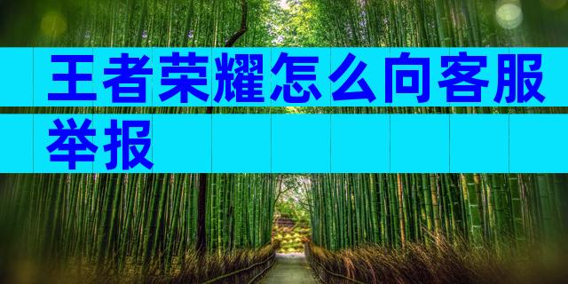 王者荣耀怎么向客服举报