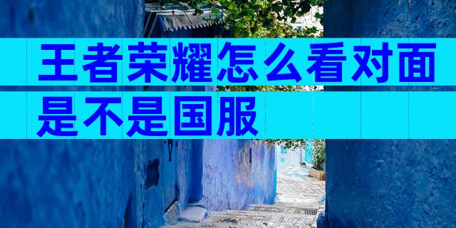 王者荣耀怎么看对面是不是国服