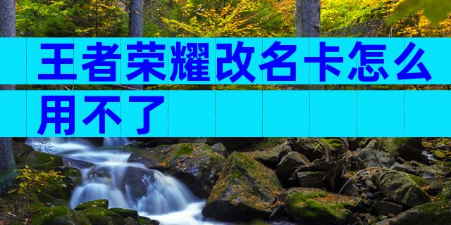 王者荣耀改名卡怎么用不了