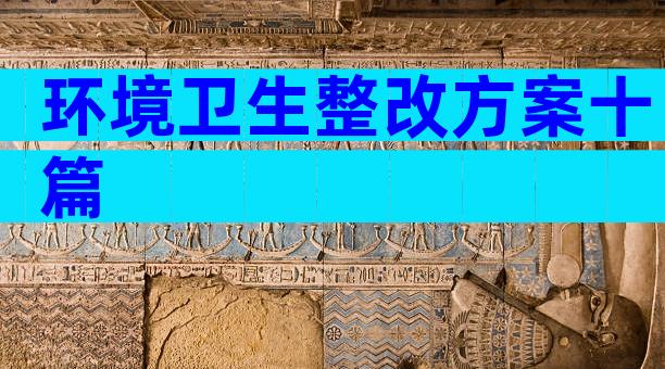 环境卫生整改方案十篇