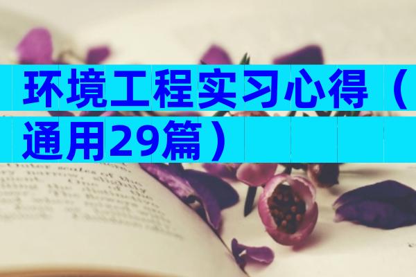 环境工程实习心得（通用29篇）