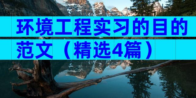环境工程实习的目的范文（精选4篇）