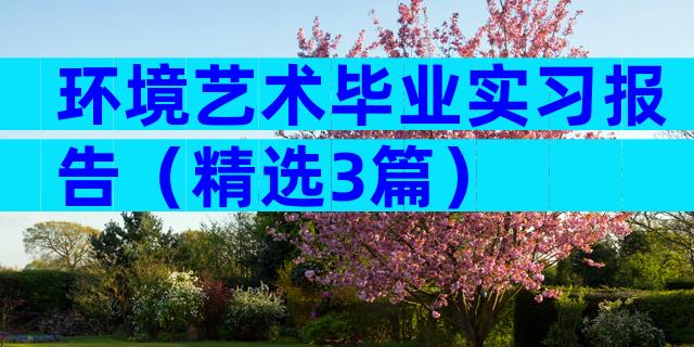 环境艺术毕业实习报告（精选3篇）
