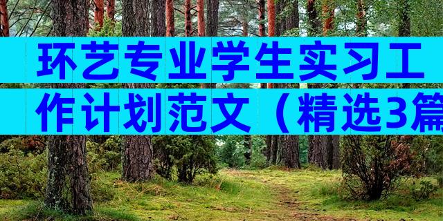 环艺专业学生实习工作计划范文（精选3篇）